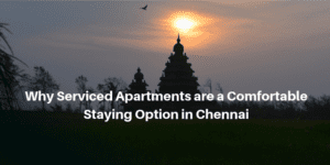 Why serviced apartment are a comfortable staying option in chennai