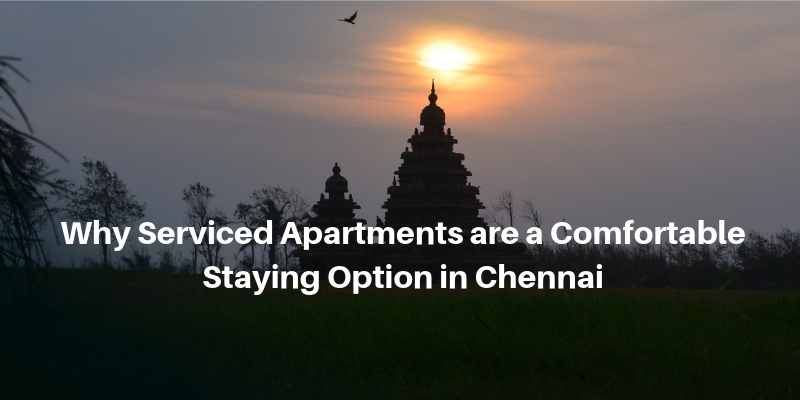 Why Serviced Apartments are a Comfortable Staying Option in Chennai